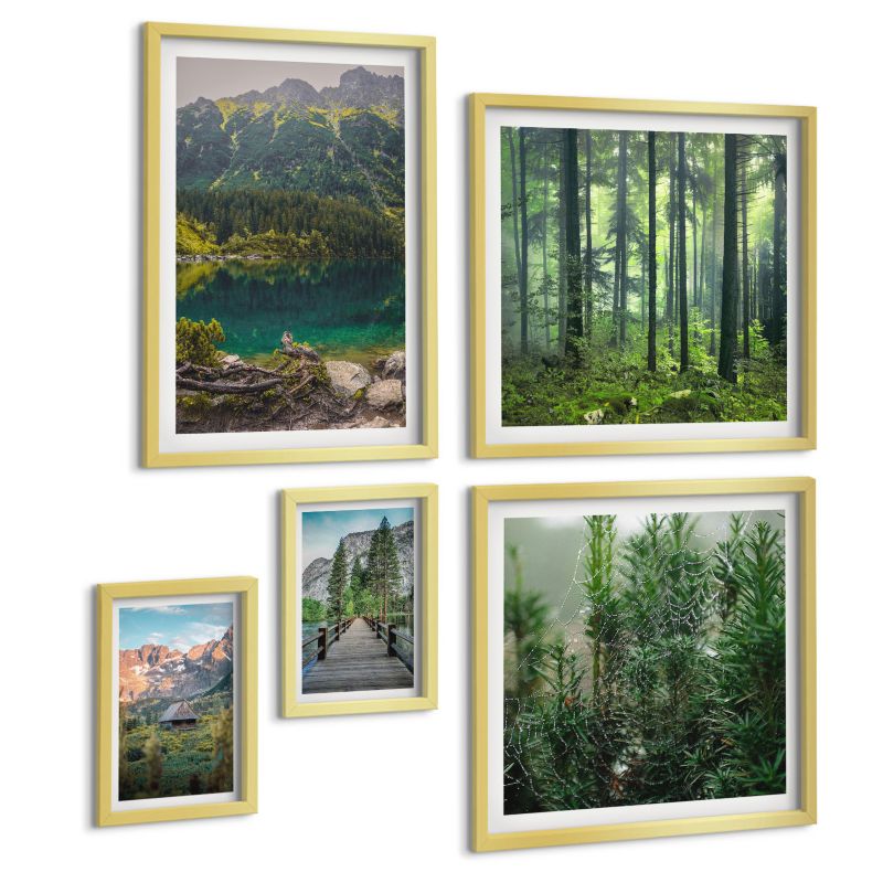 Komplet 5 Obrazów ArtPrintCave (2x50x50+2x20x30+40x60cm) Złota rama Minimalistyczne rysunki roślin 1 kpl.