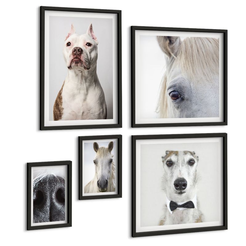Zestaw 5 Obrazów ArtPrintCave (2x50x50+2x20x30+40x60cm) Czarna rama Portrety psów i koni elegancko 1 kpl.