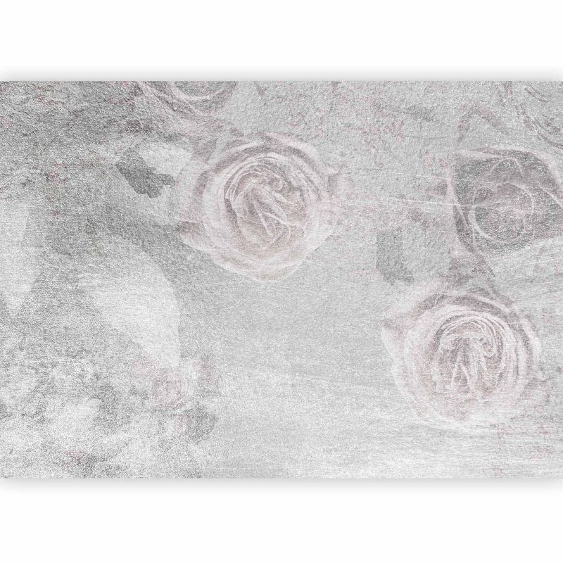 Fototapeta flizelinowa Artgeist 110g/m2 Liście szara 350x256 (7 części) 10076ab rolka 1 szt