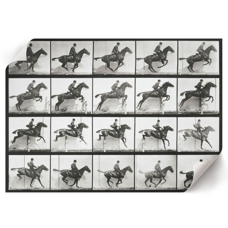 Wydruk Na Płótnie ArtPrintCave 42x29,7 cm Jazda konna Eadweard Muybridge 1 szt.