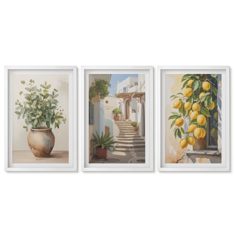 Zestaw 3 obrazów w białej ramie Tulup 40x60 cm Rośliny donice cytryny uliczka Tryptyk 1 kpl