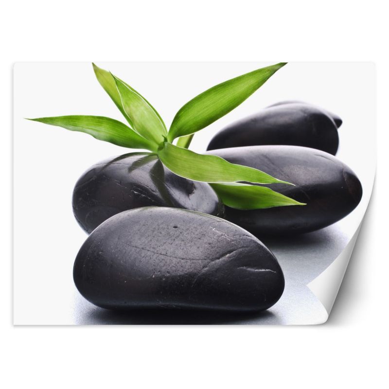 Fototapeta Feeby Kamienie zen liść 350x245 1 szt