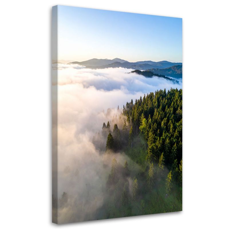 Obraz do salonu sypialni biura Feeby Krajobraz las góry we mgle 60x90cm 1szt