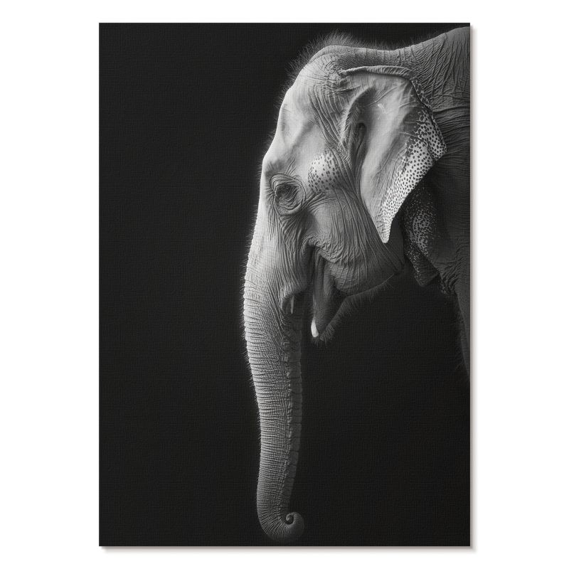Plakat na Ścianę Tulup 42x59,4 cm (A2) Profil słonia Do salonu, biura, sypialni 1 szt.