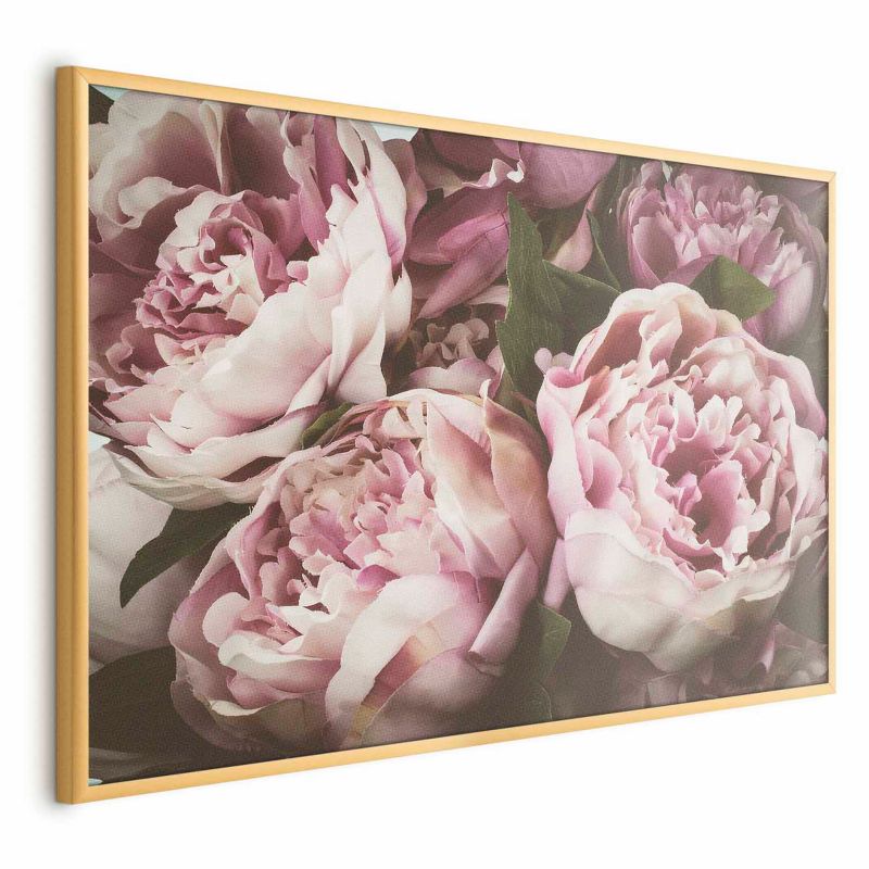 Plakat Artgeist Różowe piwonie 42x29,7 cm z ramą złotą 1 szt