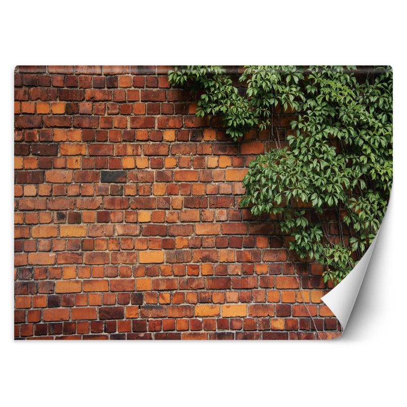 Fototapeta Feeby Mur z cegły rośliny 100x70 1 szt