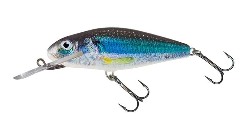 Salmo Wobler Perch Pływający DR 8cm Holographic Perch