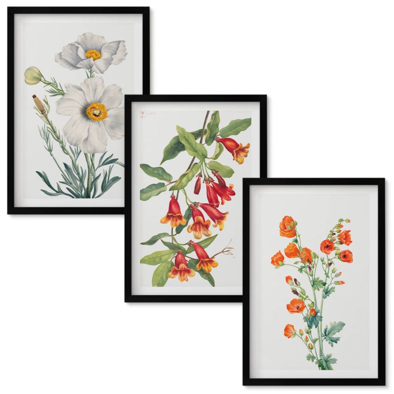 Obrazy do Salonu Wallfluent Kwiatowe kompozycje retro Czarna rama 40x60 cm 3 szt.