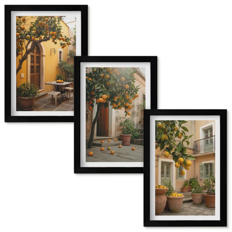 Obrazy do Salonu Wallfluent Ogród cytrusy słońce Czarna rama 20x30cm 3 szt.