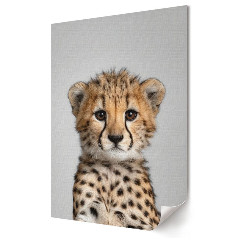 Plakat na ścianę Wallfluent Format A3 Młody gepard Projekt Artystyczny Project Concept 1 szt.