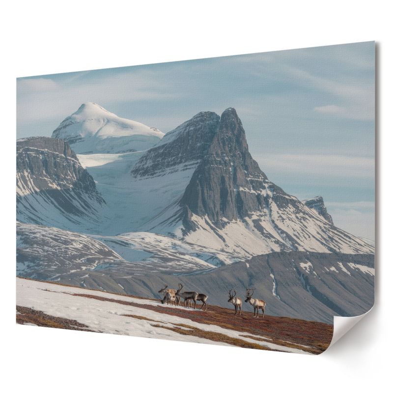 Plakat canvas Wallfluent Format A4 Górski pejzaż Artysta Nora Cabello 1 szt.
