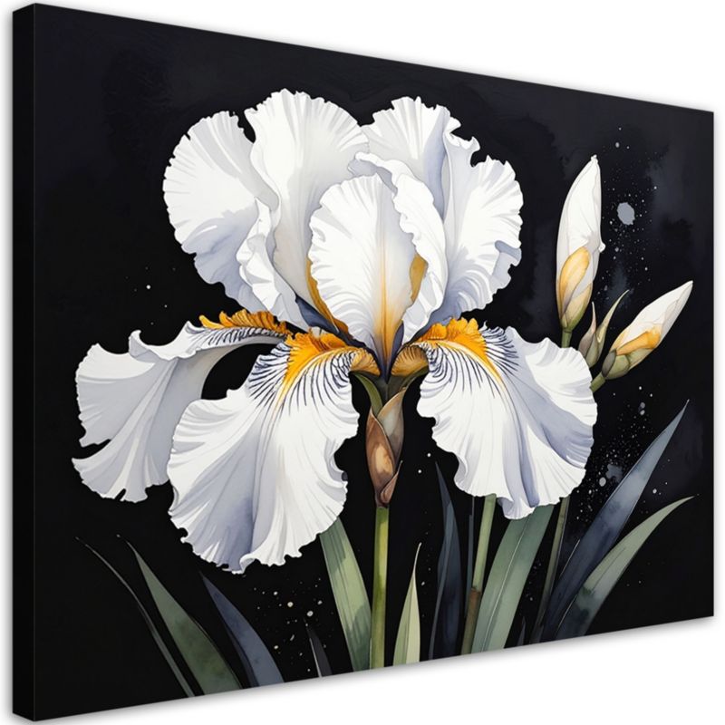 Obraz do salonu sypialni kuchni biura loftu Feeby Biały irys kwiat 60x40cm 1szt