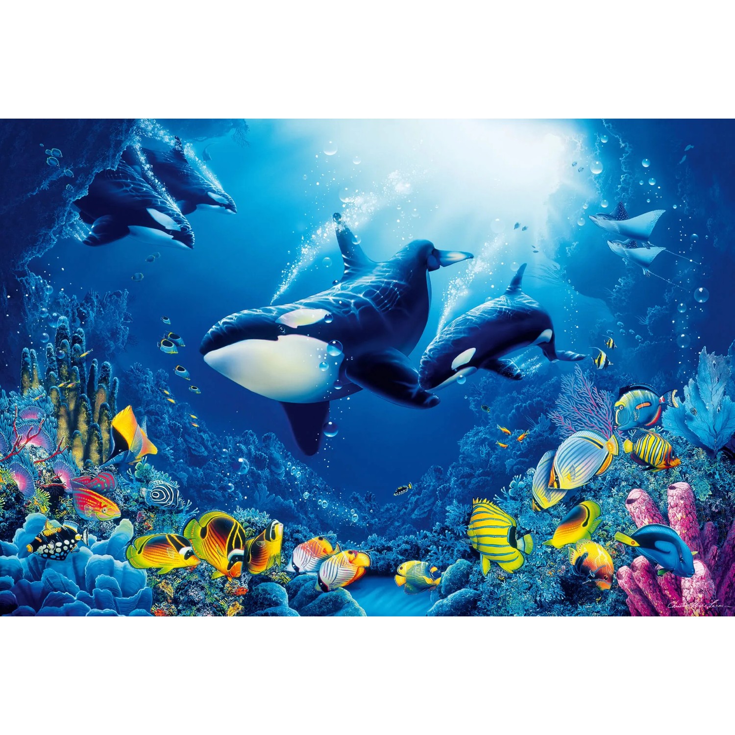 Fototapeta Delight of Life 384 x 260 cm