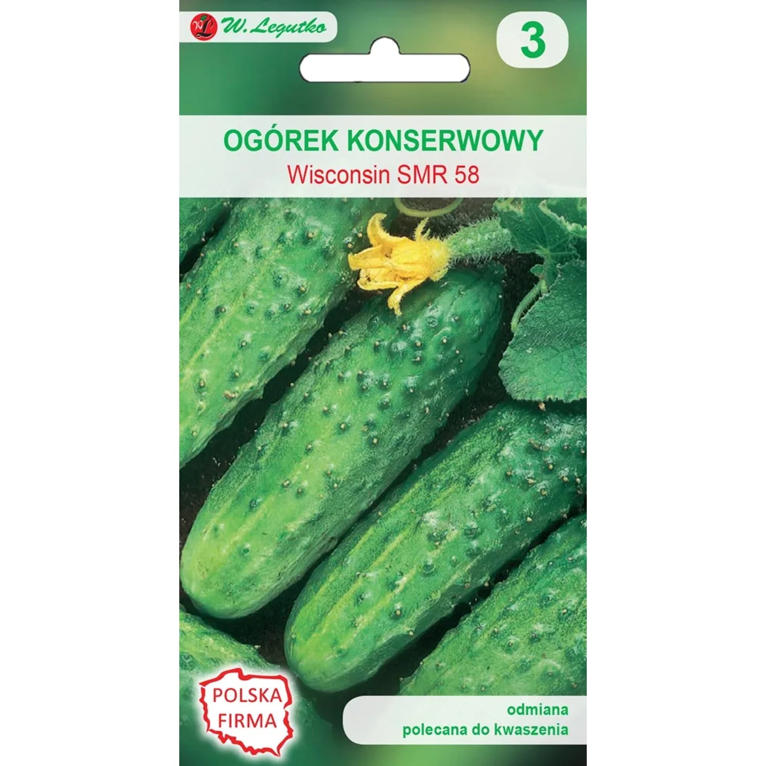 Ogórek gruntowy Wisconsin - 5 g