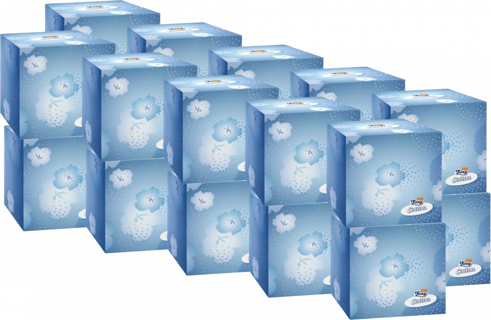 20x Chusteczki higieniczne Foxy Cotton Cube, w kartoniku, 60 sztuk