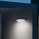 Steinel L 825 kinkiet zewnętrzny 1x12W LED z czujnikiem ruchu antracyt/biały ST059903