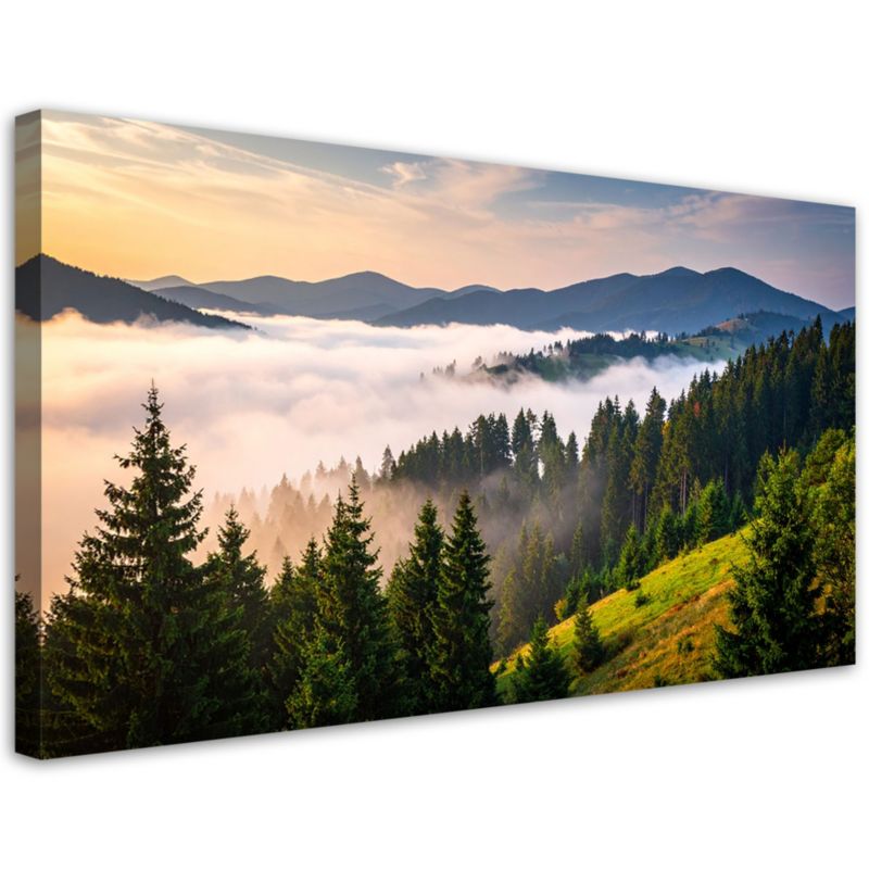 Obraz na płótnie Feeby Las góry we mgle krajobraz, panoramiczny, design do gabinetu, wzór 29773, 120x60 cm, 1 szt.