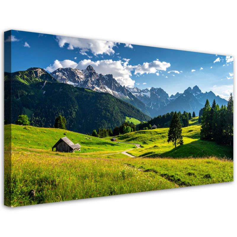 Obraz do salonu sypialni biura Feeby Krajobraz góry doliny natura 80x40cm 1szt