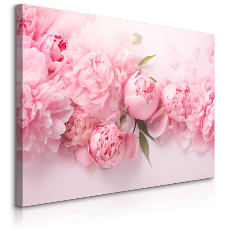 Obraz Muralo Na Płótnie Różowe Piwonie Kwiaty Do Salonu 120x80 cm 1 szt.