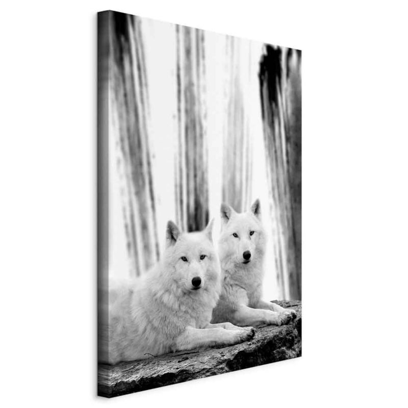 Obraz Artgeist Leśna miłość 60 x 90 cm flizelina 1 szt