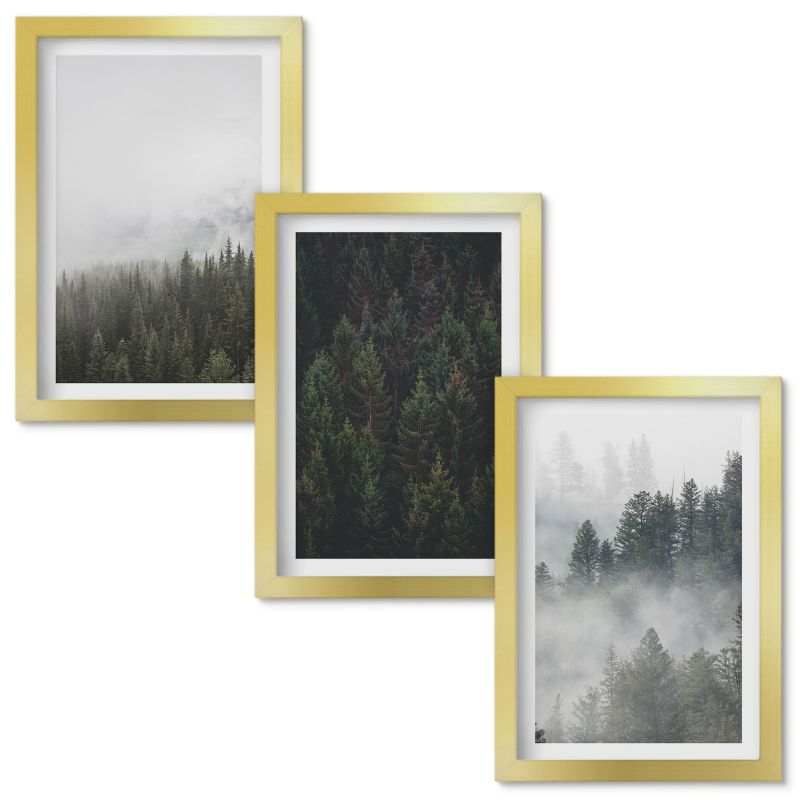 Obrazy Do Sypialni Wallfluent Zielone lasy mgła natura Złota rama 20x30cm 3 szt.