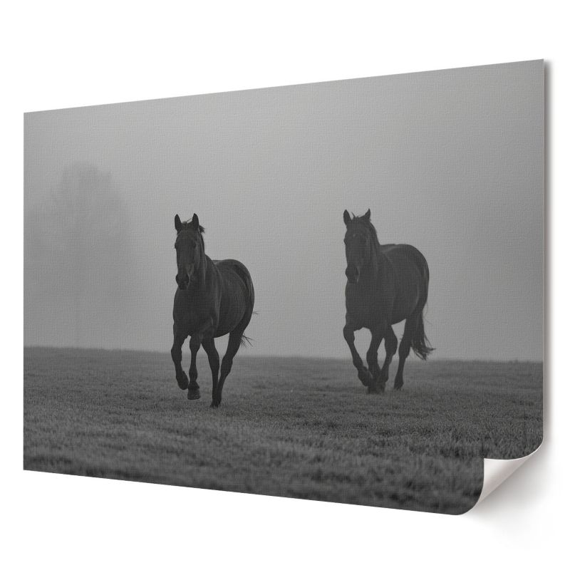Plakat canvas Wallfluent Format A3 Konie w biegu Artysta Felix "Trace" Brand 1 szt.