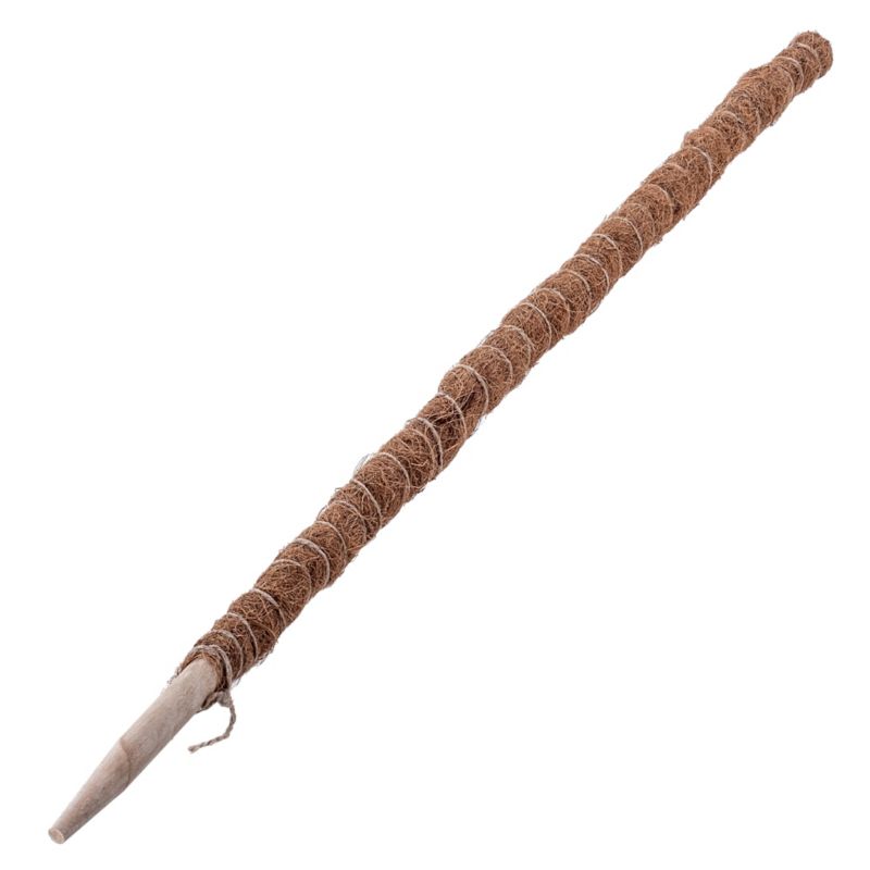 Tyczka do roślin KADAX kokosowa podpora doniczkowa 150 cm 4 szt.