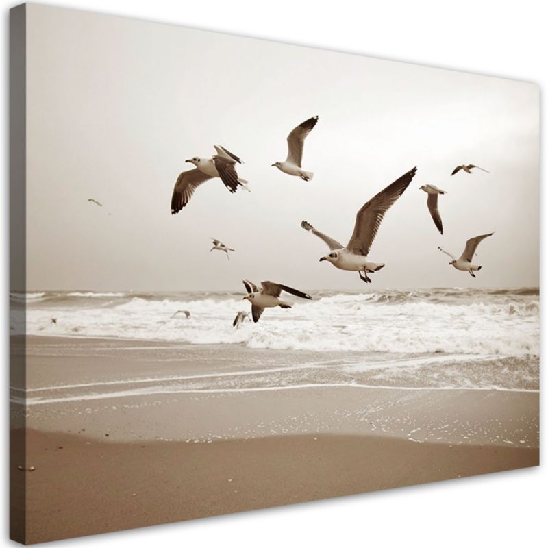 Obraz do salonu kuchni biura Feeby Mewy ptaki morze plaża natura 120x80cm 1szt
