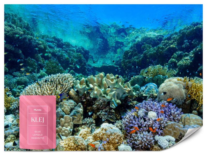 Fototapeta Muralo Rafa Koralowa Ocean Przyroda 450x315 cm 1szt.