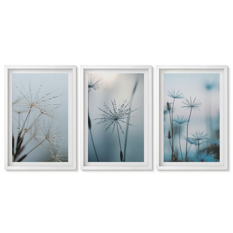 Obrazy w białej ramie Tulup 40x60 cm Dmuchawce z kroplami wody Obrazy do kuchni w ramie 1 kpl