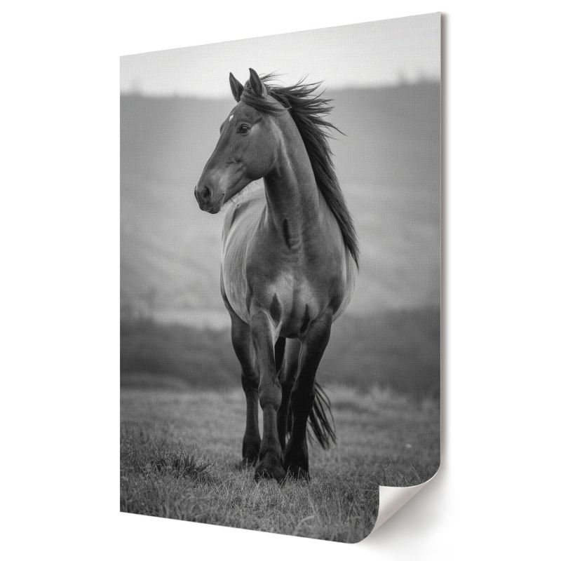 Plakat na ścianę Wallfluent Format A3 Dostojny koń Artysta Nyra 1 szt.