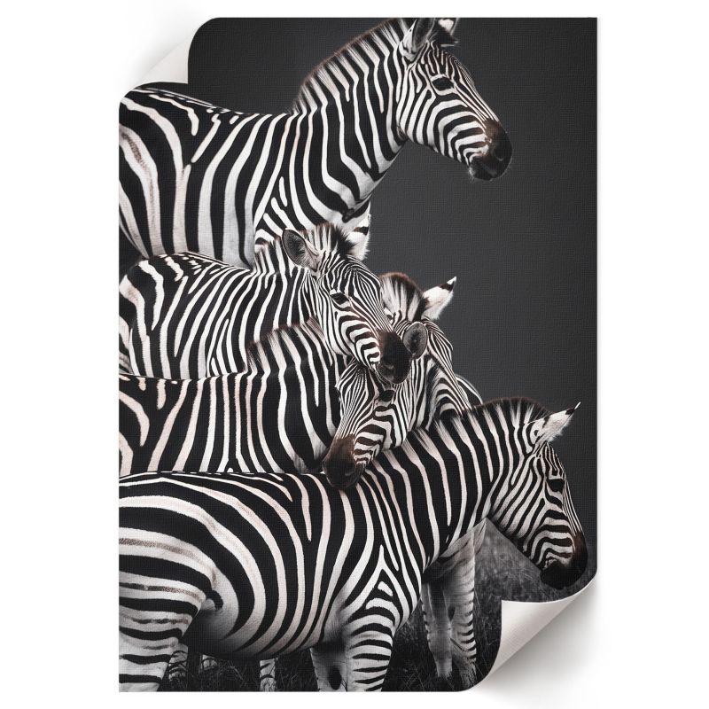 Plakat Ścienny ArtPrintCave 21x29,7 cm Zebry safari Sage 1 szt.