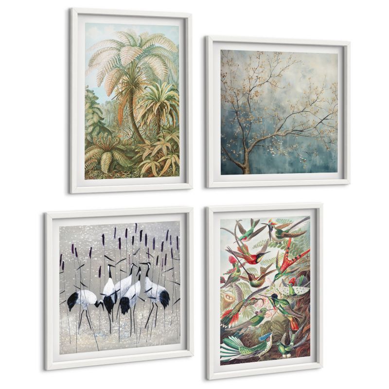 Zestaw Obrazów 4 Częściowy ArtPrintCave (2x50x50+2x40x60cm) Biała rama Tropikalne rośliny ptaki natura 1 kpl.