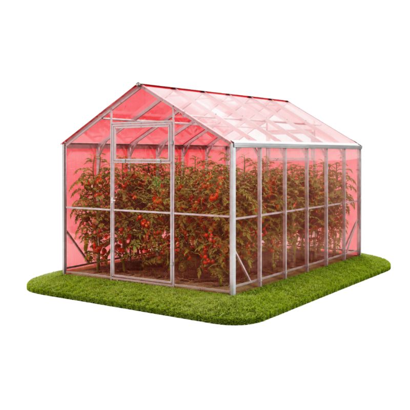 Szklarnia z poliwęglanu Różowy DOMEK e-szklarnia.pl 250x800x230 cm, profile 40x20 poliwęglan 4mm - 1 szt
