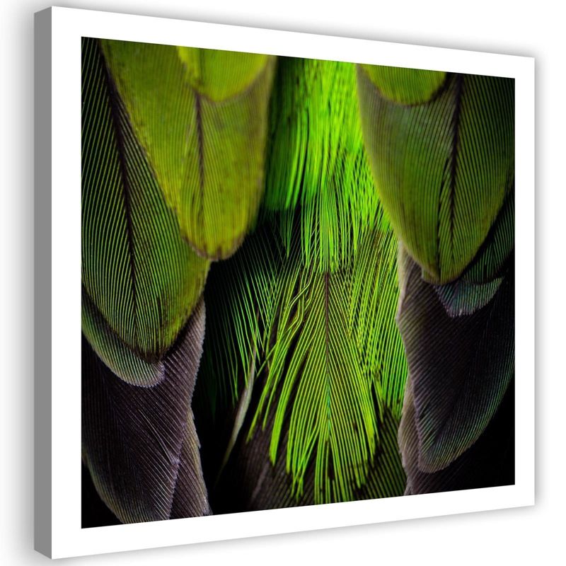 Obraz na płótnie Feeby Pióra Ptaki Zielony Natura 60x60cm 1szt
