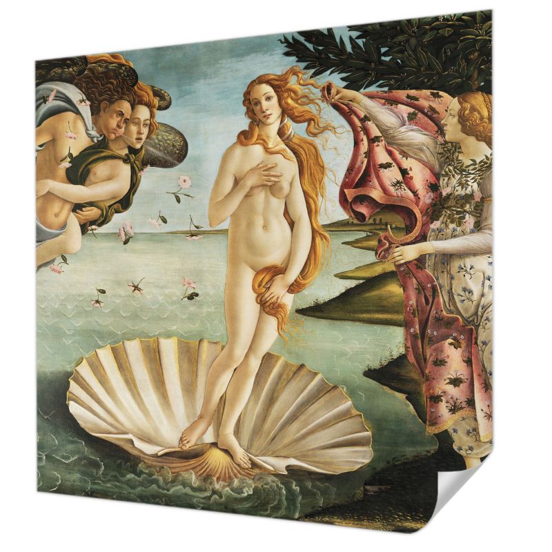 Tapeta samoprzylepna Tulup 250x250 cm Narodziny Wenus Tapeta Do Salonu, Sypialni, Biura 1 szt.