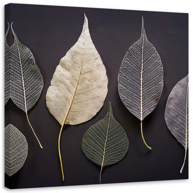 Obraz na płótnie Feeby Minimalizm Liście Glamour Rośliny 60x60cm 1szt