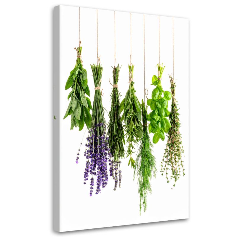 Obraz do kuchni jadalni Feeby Wiszące zioła 80x120cm 1szt