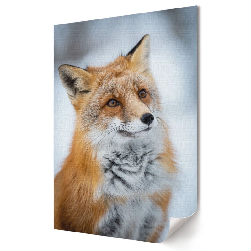 Plakat na ścianę Wallfluent Format A1 Zimowy lis Artysta Omega 1 szt.
