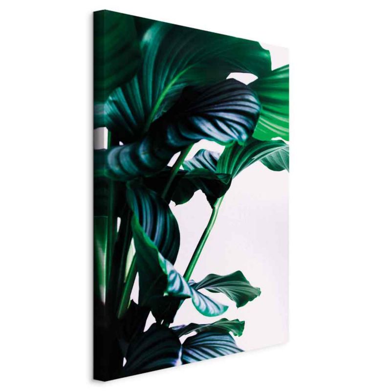Obraz Artgeist Sprężyste liście 60 x 90 cm flizelina 1 szt