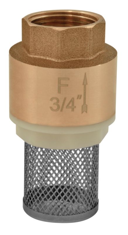 Zawór Ferro zwrotny z koszem 19.05 mm 1 szt.