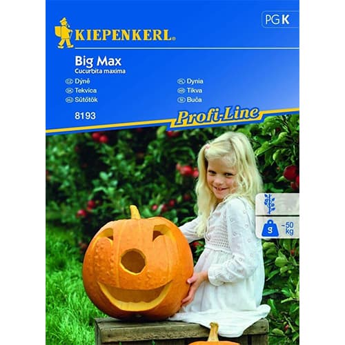 1 szt, Kürbis Big Max - Samen: Ilość w opakowaniu: 1 Stück