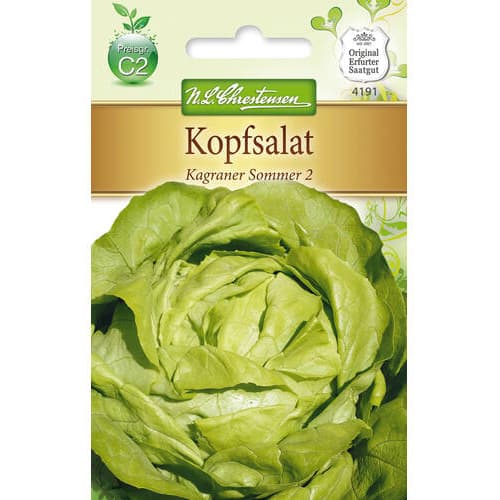 1 szt, Kopfsalat Kagraner Sommer 2 - Samen: Ilość w opakowaniu: 1 Stück