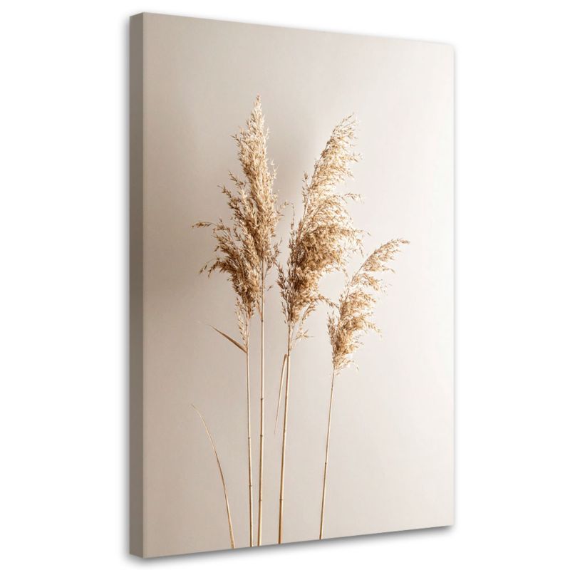 Obraz do salonu kuchni biura Feeby Trawa pampasowa rośliny natura beżowy 40x60cm 1szt