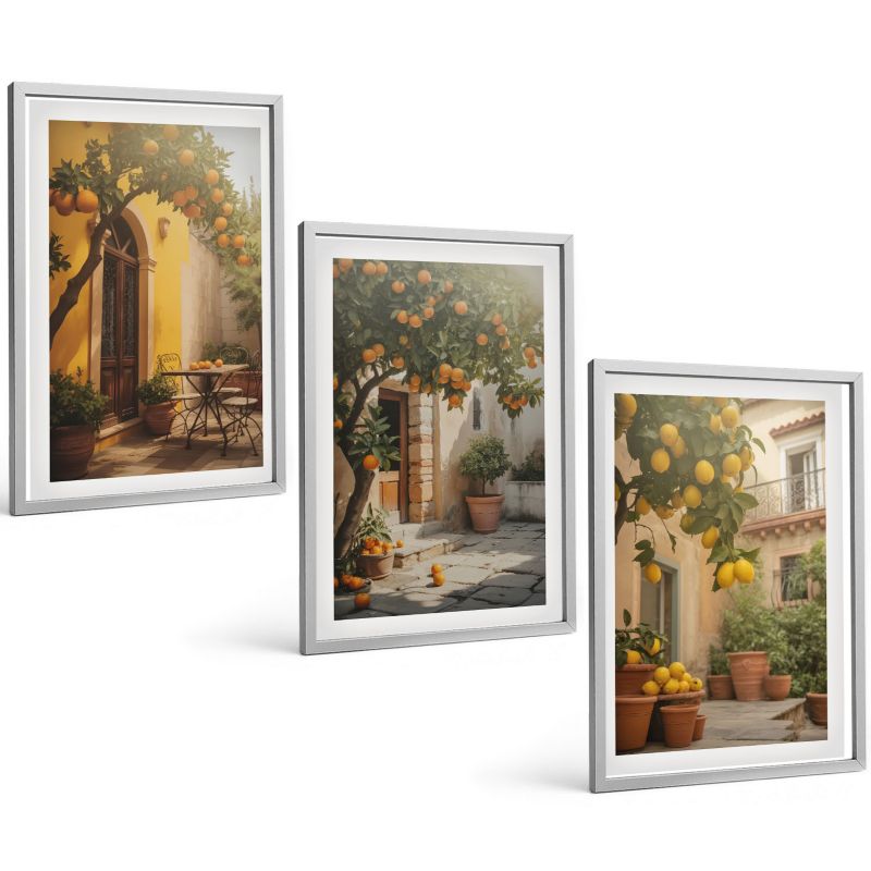 Galeria 3 Obrazów w Srebrnej Ramie ArtPrintCave 40x60 cm Komplet ścienny Słoneczne patio cytrusy doniczki 1 kpl.