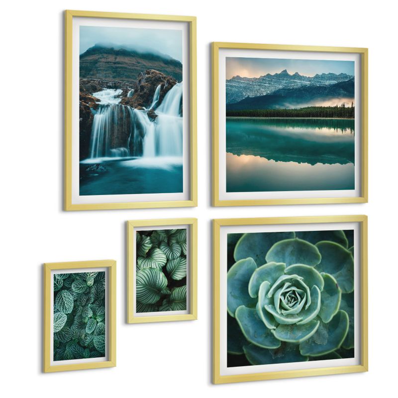 Pięcioczęściowy Zestaw Obrazów ArtPrintCave (2x50x50+2x20x30+40x60cm) Złota rama Sukulenty w zieleni i turkusie 1 kpl.
