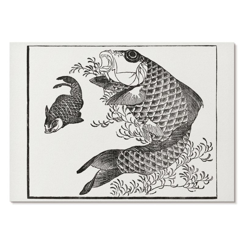 Obraz Plakat Canvas Tulup 59,4x42 cm (A2) Karp Do kuchni, salonu, sypialni 1 szt.