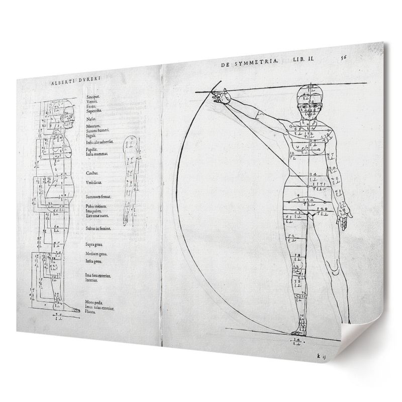 Plakat Wallfluent Format A3 Rysunek człowieka Artysta Albrecht Dürer 1 szt.