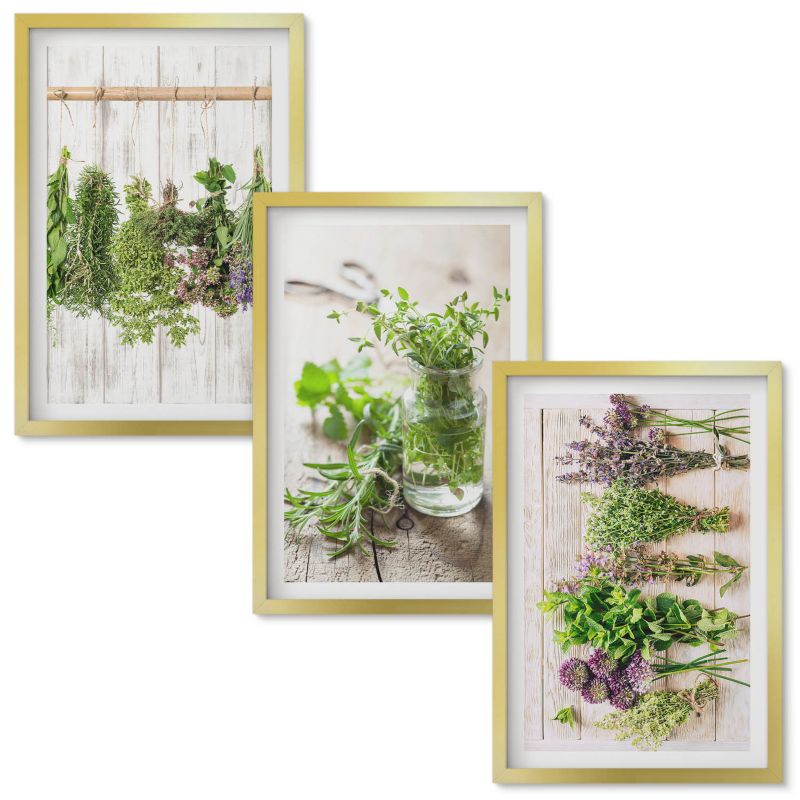 Obrazy Do Sypialni Wallfluent Zioła rośliny do kuchni Złota rama 40x60 cm 3 szt.