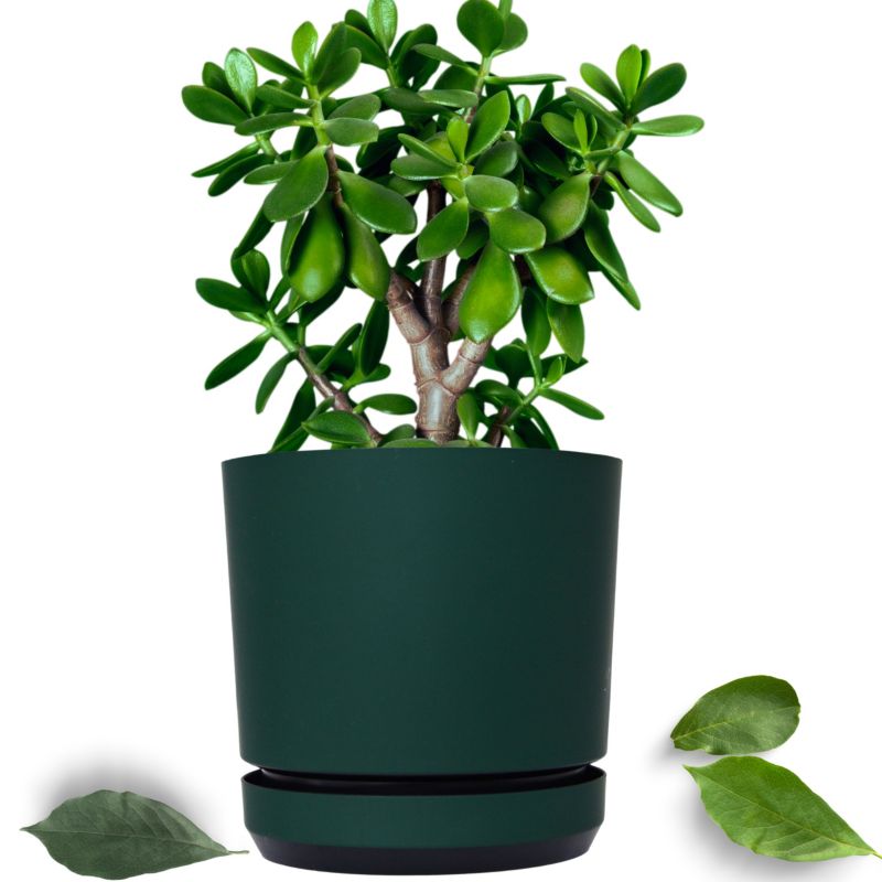 Doniczka z podstawką Kerd 18 cm wzór 038 ZIELONA BUTELKOWA elegancka nowoczesna ciemna zieleń satynowa matowa 1 szt